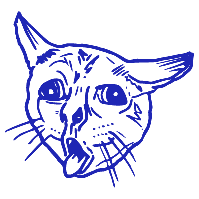 Шаблон печати №1461 мемный кот