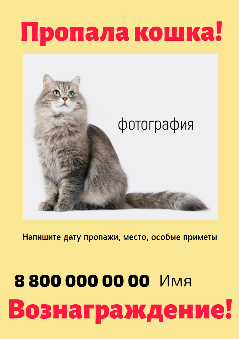 Объявление о пропаже кошки с номером телефона. Размер макета - 210x297 мм.