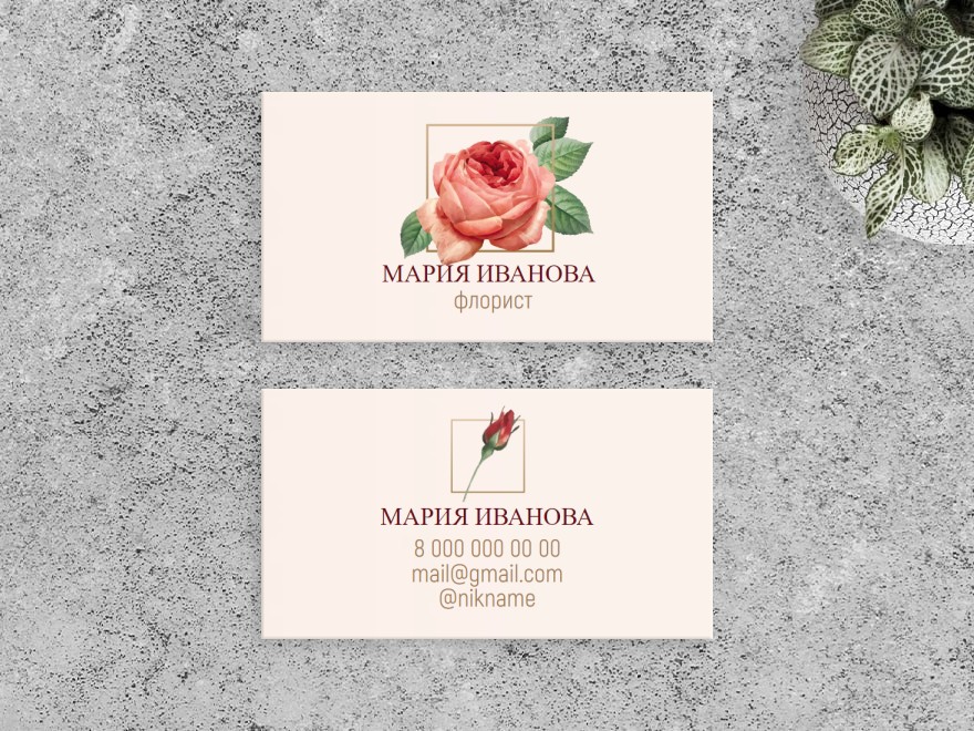Шаблон визитной карточки: флорист, цветы, цветы
