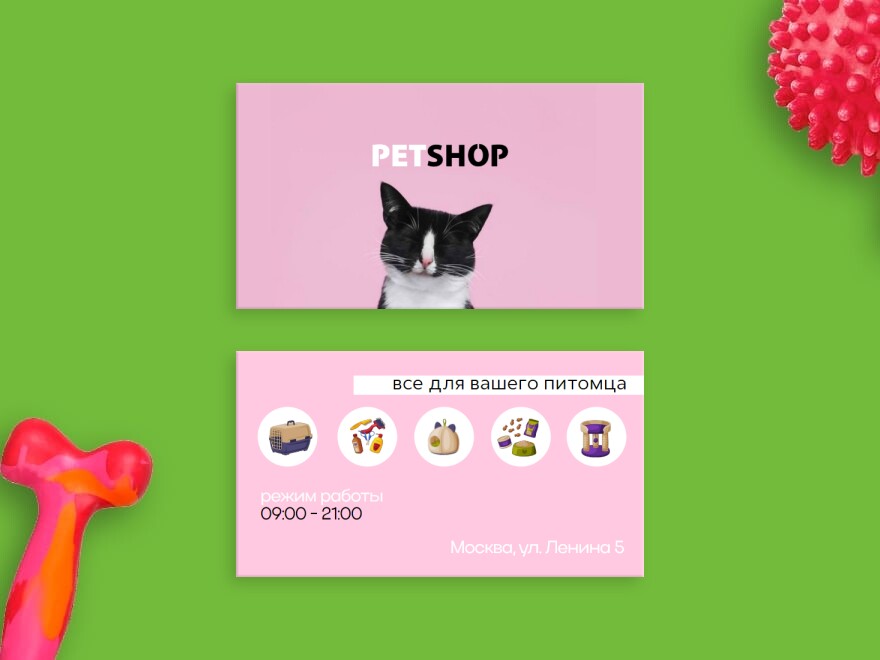 Шаблон визитной карточки: товары для животных, зоомагазин, кошки