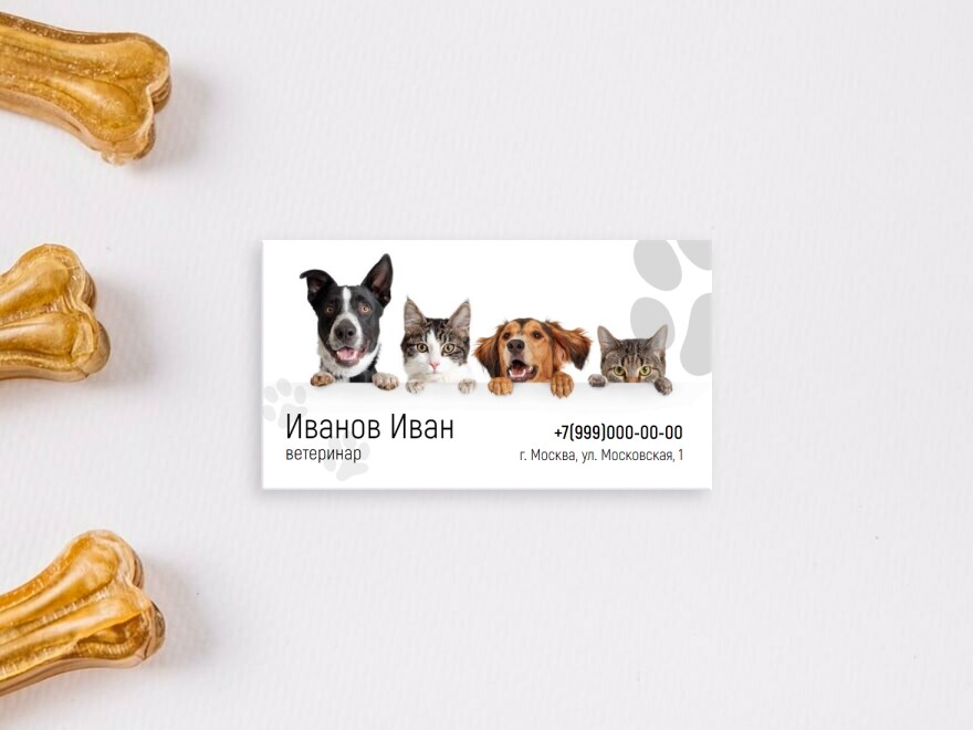 Шаблон визитной карточки: ветеринария, врачи, клиники, зоомагазин, собаки