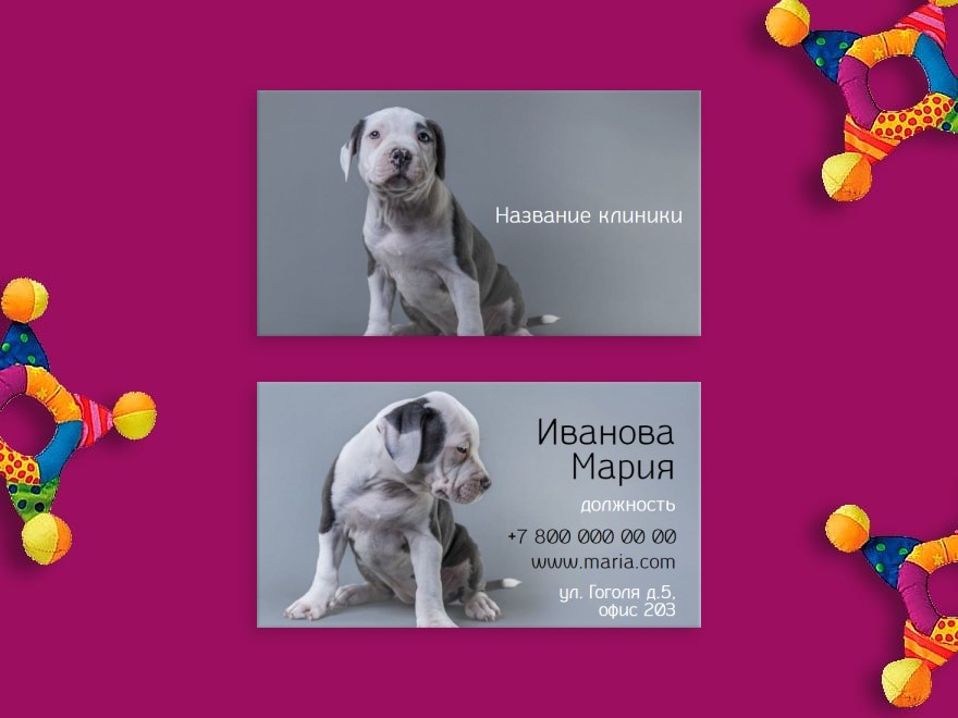 Шаблон визитной карточки: ветеринария, врачи, клиники, животные, уход за животными