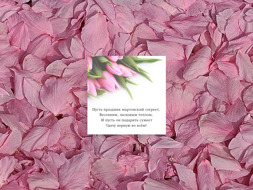 Шаблон листовки или флаера формата 120x120: универсальные, флорист, цветы, цветы