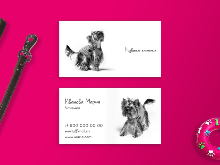 Шаблон визитной карточки: ветеринария, врачи, клиники, товары для животных, собаки