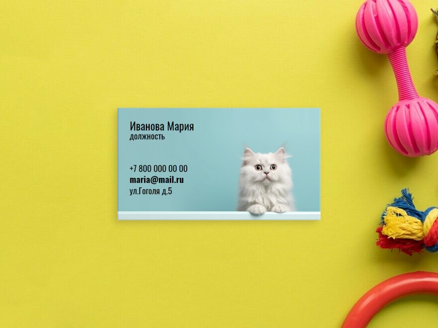 Шаблон визитной карточки: ветеринария, врачи, клиники, животные, кошки
