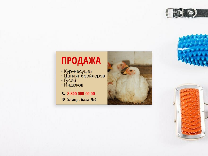 Шаблон визитной карточки: животные, уход за животными, сельское хозяйство