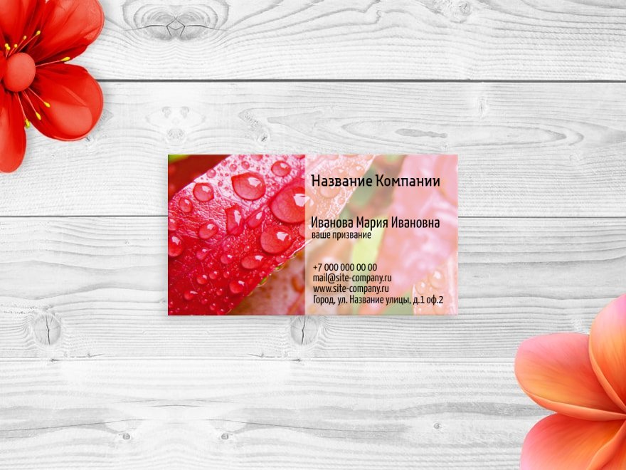 Шаблон визитной карточки: уборка квартир, клининг, химчистка, флорист, цветы