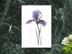 Листовки и флаеры: флорист, цветы, косметология, диетология и питание
