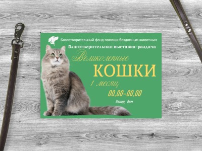 Никакого вискаса: 9 лучших кормов для кошек