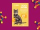 Листовки и флаеры: кошки, зоомагазин, товары для животных