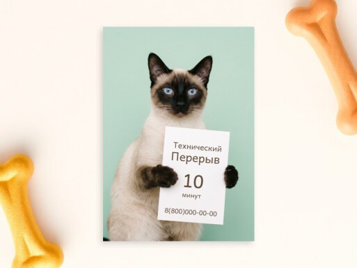 Листовки и флаеры: кошки, животные, уход за животными